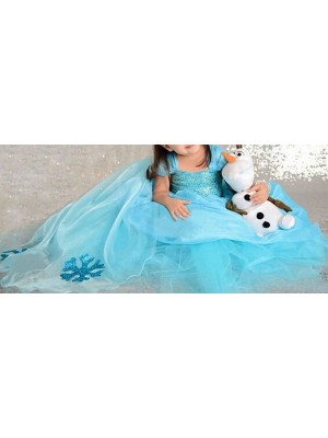 Frozen Vestiti Carnevale Elsa 2-9  anni 789009