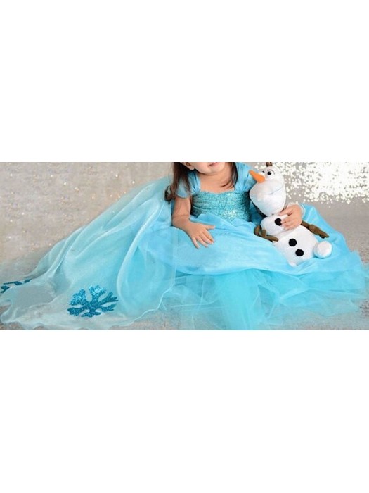Frozen Vestiti Carnevale Elsa 2-9  anni 789009