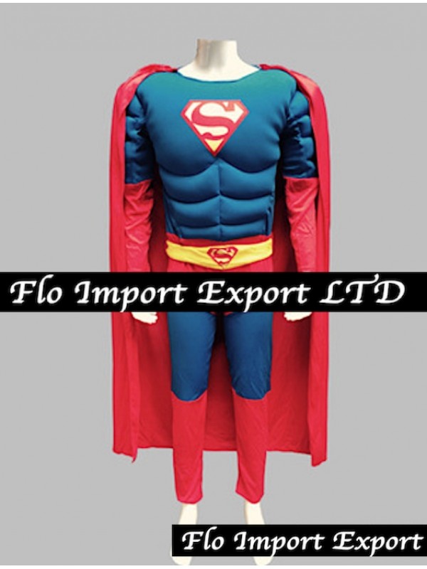 Supereroi Costumi Carnevale Uomo SUHEM5