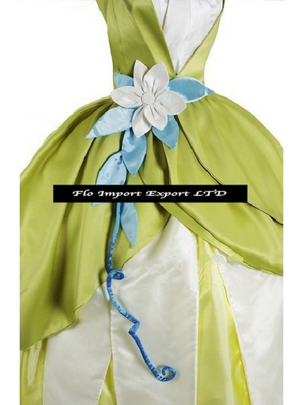 Tiana Principessa Ranocchio Vestito Carnevale Donna TIANA02